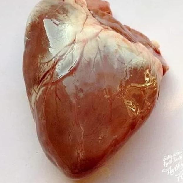 

☑ Jantung Babi / Pork Heart 1pcs ♧