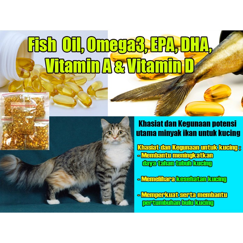 Minyak Ikan Salmon Kucing Mengandung Omega 3 Epa Dha Tinggi Indonesia