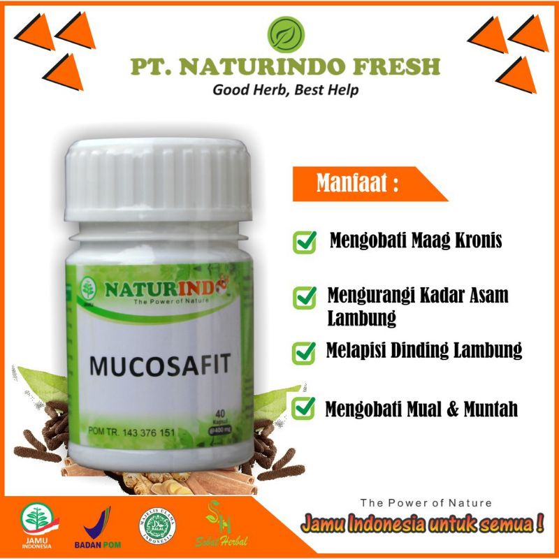 

OBAT HERBAL JAMU KAPSUL MUCOSAFIT NATURINDO (SPESIAL ATASI LAMBUNG & PENCERNAAN)