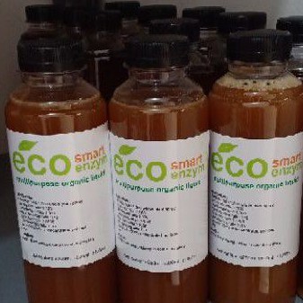 pupuk organik cair eco enzyme Enzym eko enzim detox