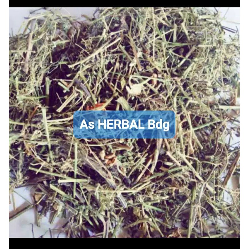 

Jual daun pare hutan kering / daun pare kering-az