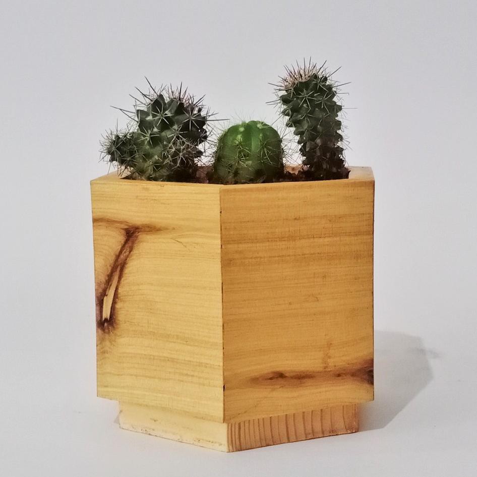 Pot Kayu Unik Sukulen Pot Kecil Pot Kaktus B02 Shopee Indonesia