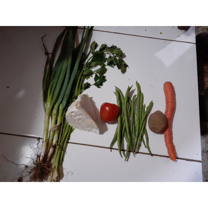 

paket sayur sop segar