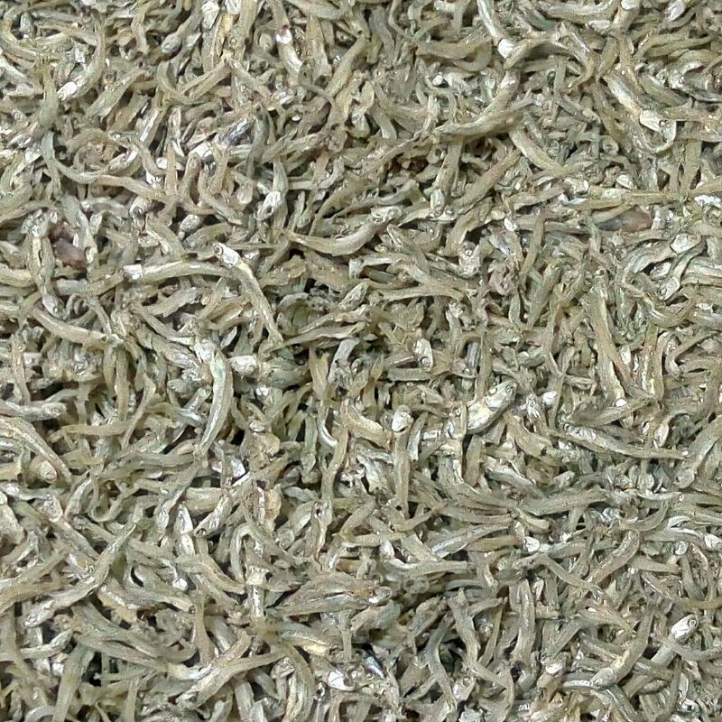 

ikan teri Pontianak 1 inch