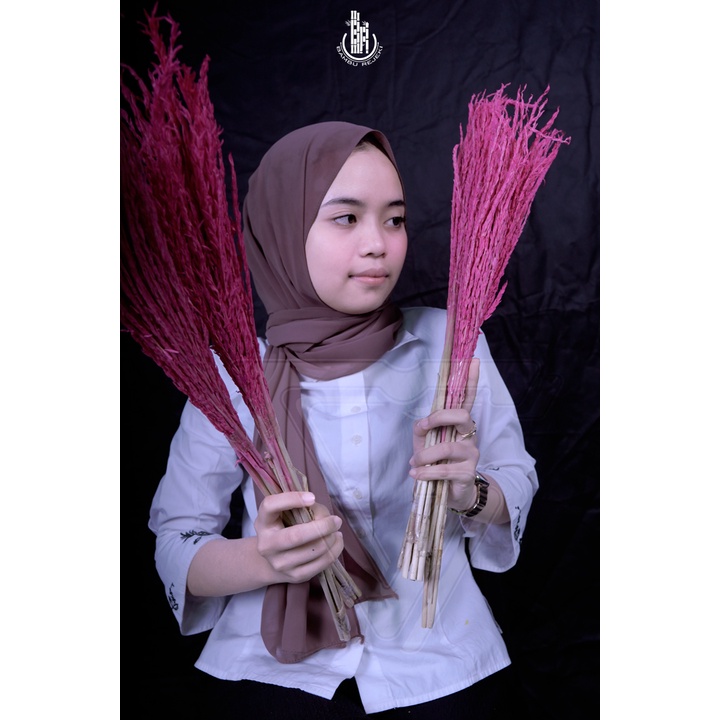 HOME DECOR BUNGA JAGUNG KERING HIASAN RUMAH, BUKET, BUNGA CORNELIA PESTA MURAH MERIAH!! - PINK