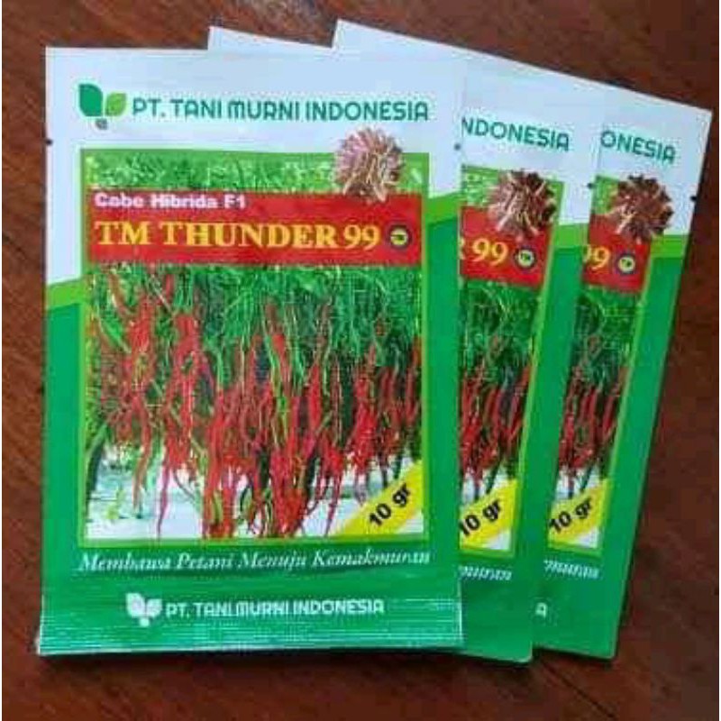 Benih cabe kriting TM THUNDER 99
