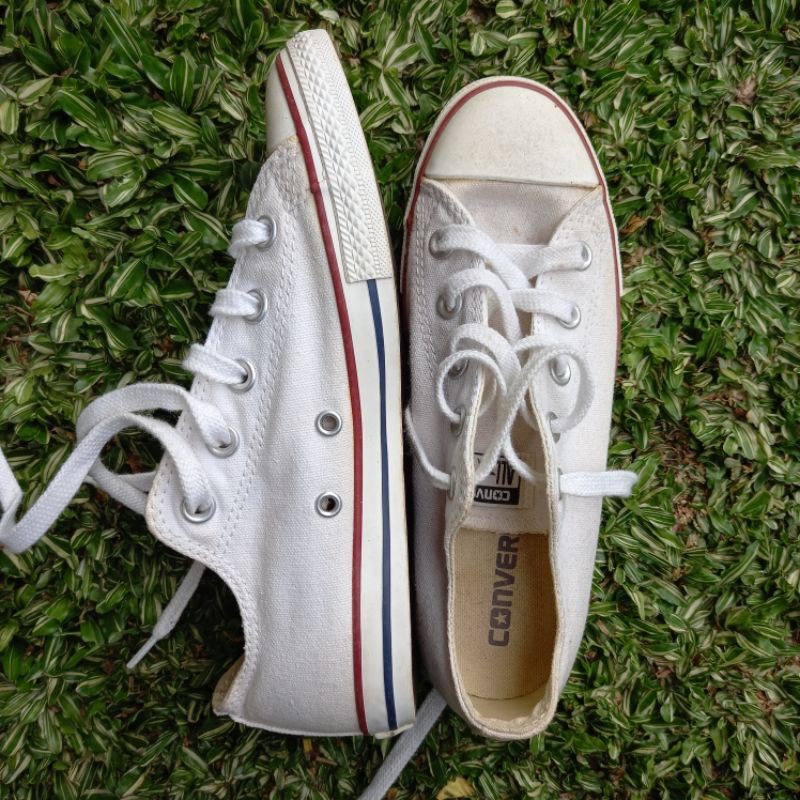 can converse shoes go in the washing machine