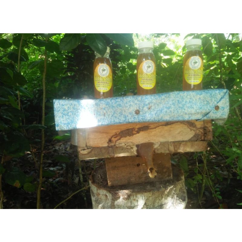 

MADU KELULUT/ MADU LINOT/ ie LINOT ASLI