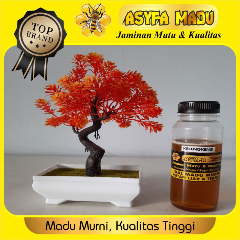 

madu murni kelengkeng Apis Mellifera kemasan ¼ kg