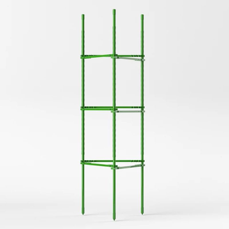 rambatan tanaman untuk tanaman merambat pohon anggur pohon tomat