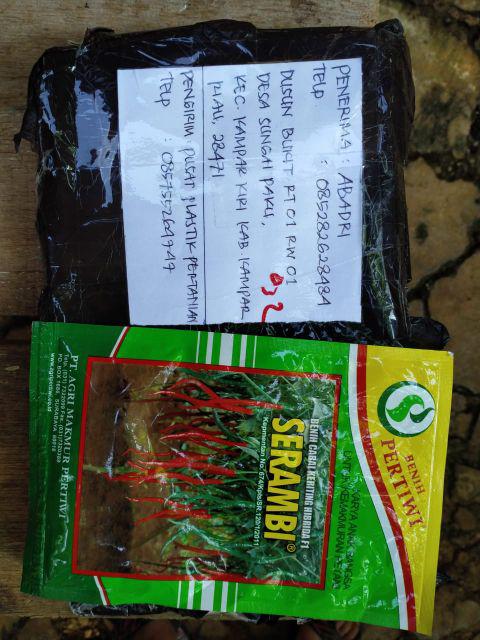 Benih Bibit Cabe Cabai Keriting Hibrida F1 Serambi (10grm)
