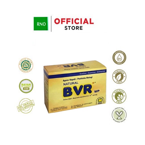 BVR NASA pengendali hama wereng,walang sangit