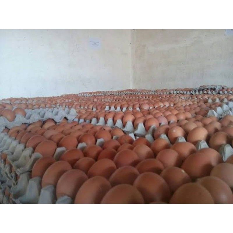 

TELUR AYAM NEGERI 500 GRAM