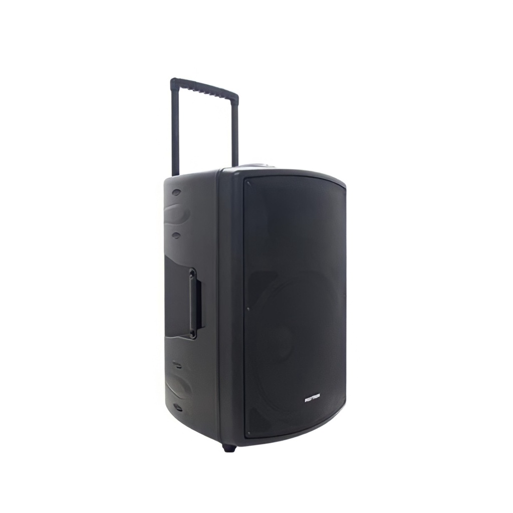 Polytron Professional Active Speaker PASPRO12F2 + 2 Mic Bluetooth 12F2