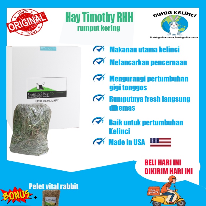 Hay Timothy 100 gr Makanan Kelinci Rabbit Hole Hay Rumput Kering