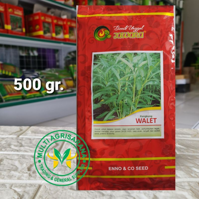 Benih kangkung WALET 500 gram