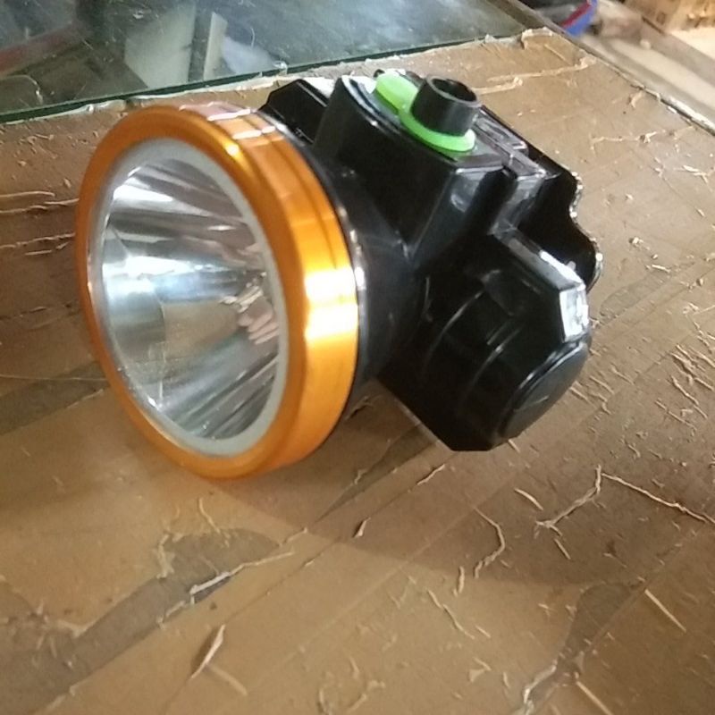 SENTER KEPALA PROBEST