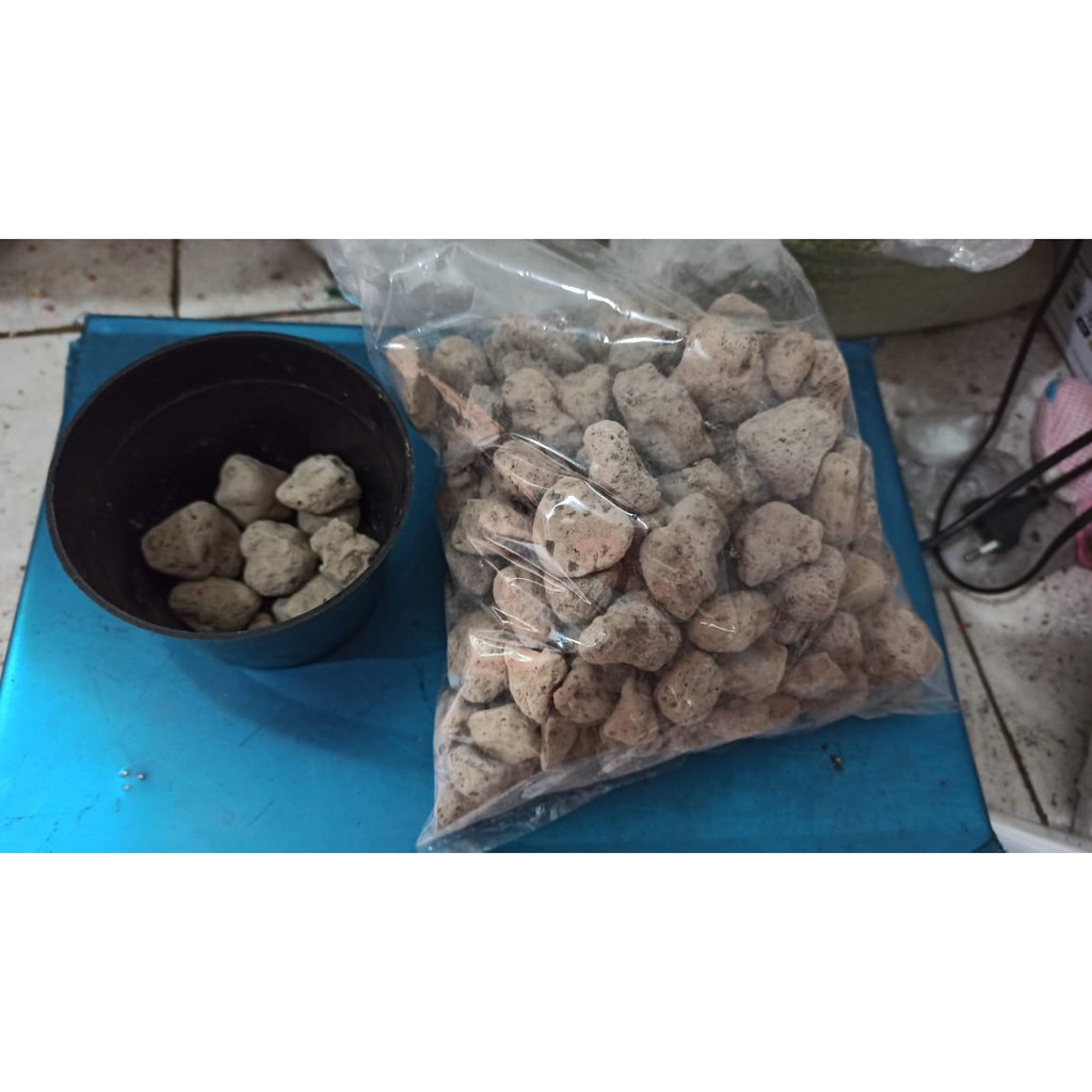 Media Tanam Batu Apung Pumice Stone 500gr