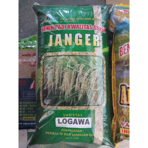 BENIH PADI JANGER VARIETAS LOGAWA - 5 KG