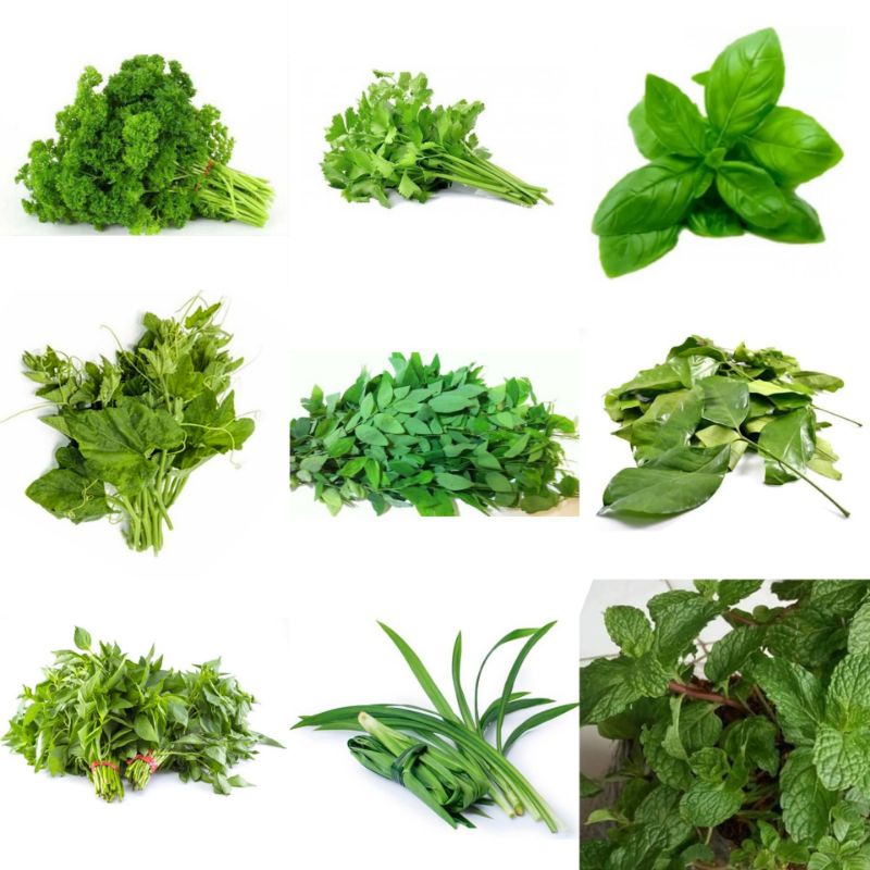 

PASAR GUBENG - Daun Mint/Daun wensui/daun ketumbar/Daun Parsley/daun basil/kemangi/daun pandan/daun katuk/daun so/daun pucuk labu - Per pack