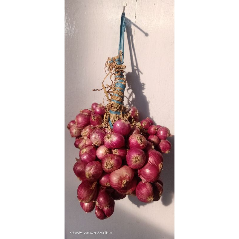 

bawang merah probolinggo varietas batu