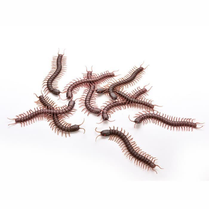 promo terbaru Kelabang Palsu Prank Kelabang Coklat Kelabang Mainan