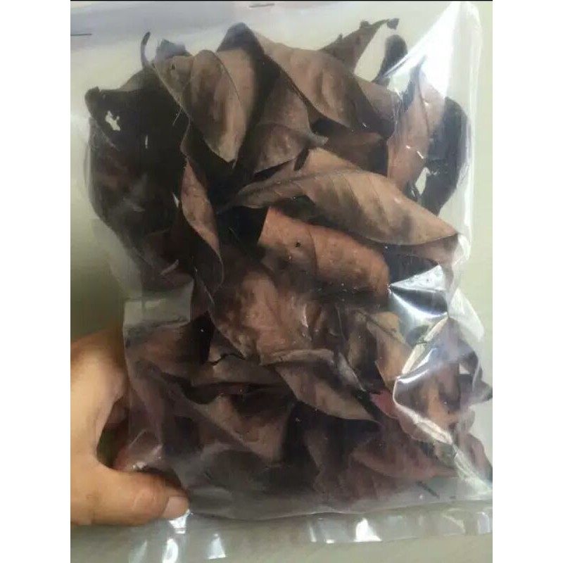 

Daun salam kering / Dried bay leaves 50 gr