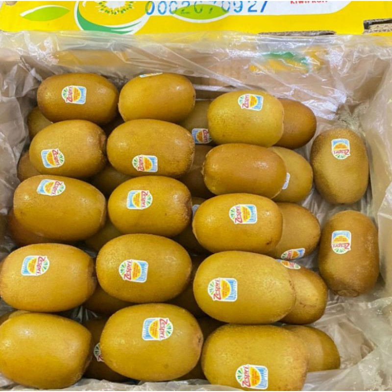 

Buah Kiwi Gold Yellow Zespri Fresh Import / 1 Dus