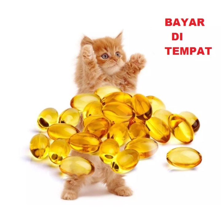 VITAMIN TERLARIS MINYAK IKAN HEWAN KUCING ANJING AYAM ISI 10 BUTIR