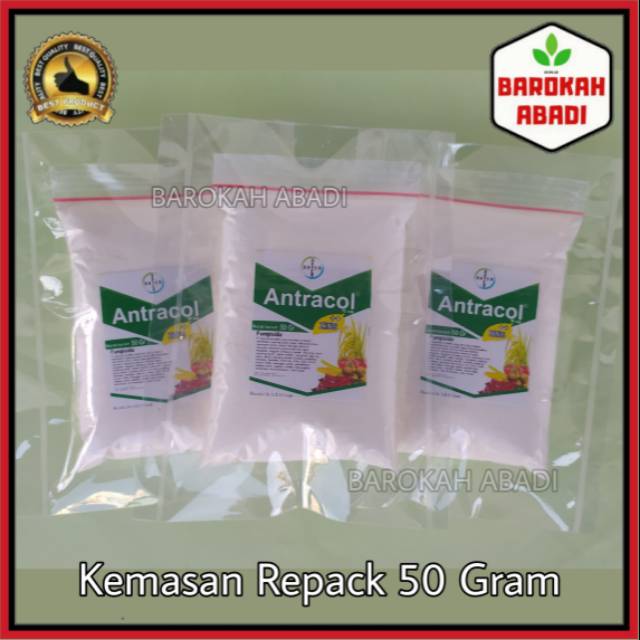 Antracol 70 WP repack 50 gram fungisida pembasmi hama