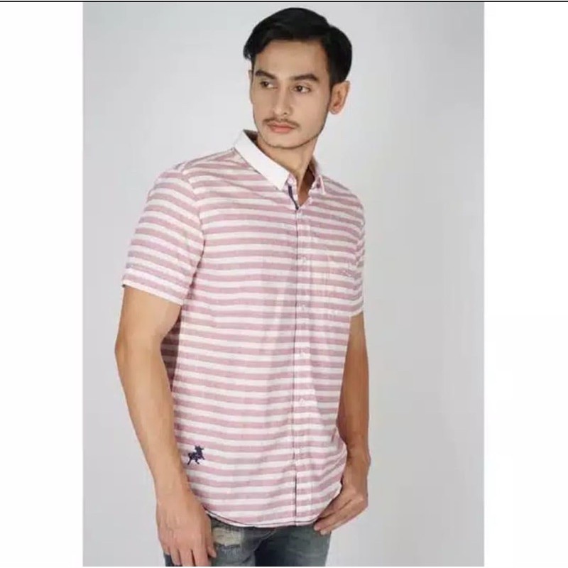 Kaos Kerah Original lois