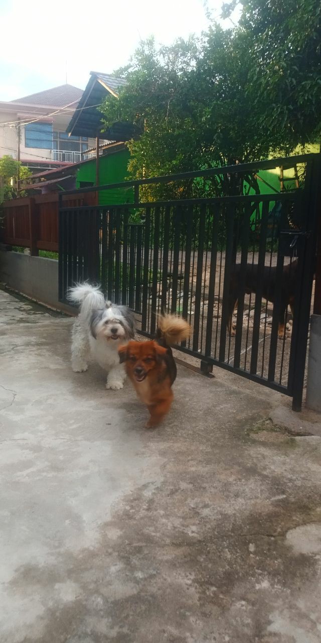 Batik Couple / Baju Batik Couple / Batik Set / Batik Lengan Panjang / Rok Set