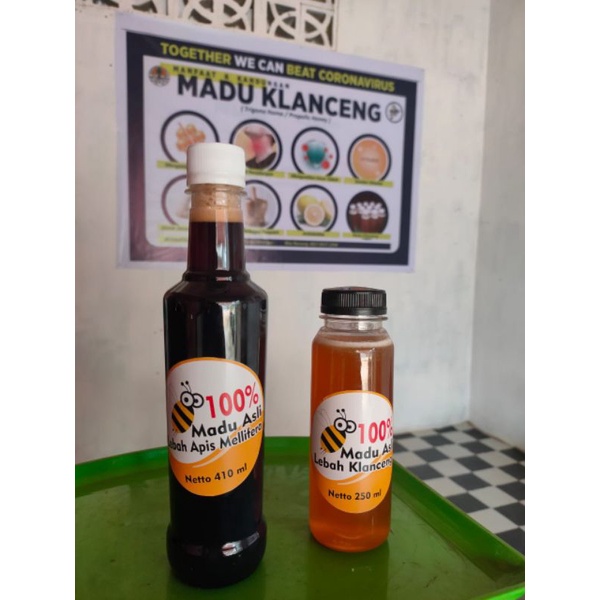 

Paket Murah Madu Trigona / Klanceng dan Madu Mellifera