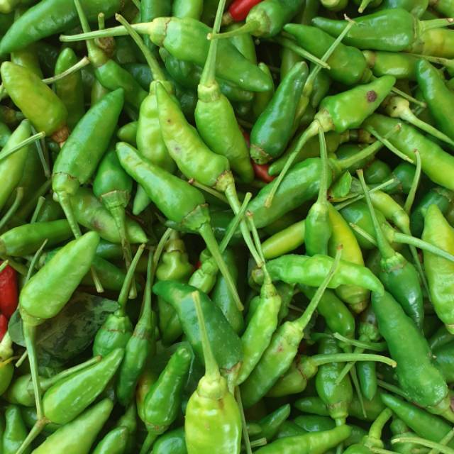 

Cabe rawit jawa