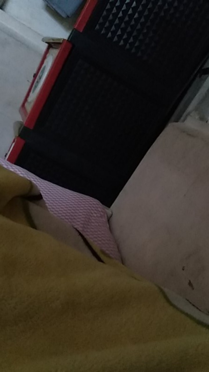 Cetakan Kue Kembang Goyang Bentuk Kupu-kupu