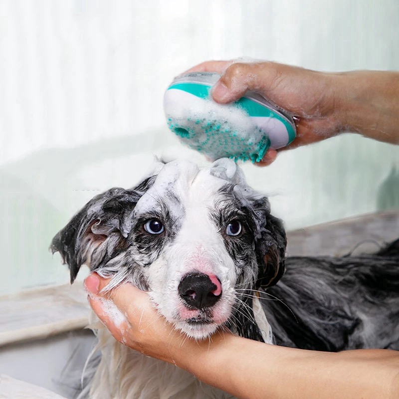 dog getting massage spa