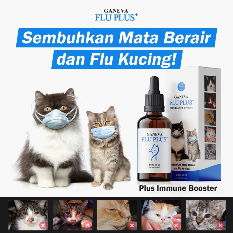 Serum Flu Kucing (Ganeva Flu Plus)