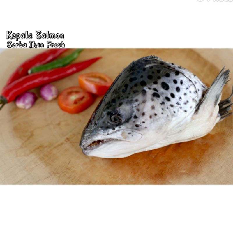

KEPALA SALMON SEGAR MURAH