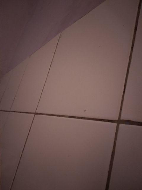 Rantang Stainless Susun 5 Dengan Tutup ( Isi 5 Panci)