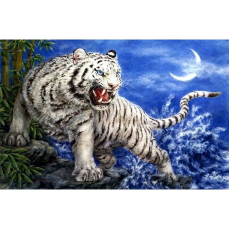 lukisan cetak macan putih plus bingkai uk 65 x45