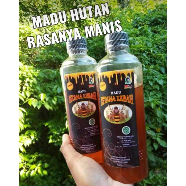 

Madu Hutan Murni Asli Kalimantan sumbawa 500Gr Balikpapan sumatera Sertifikasi LP POM MUI RAW HONEY