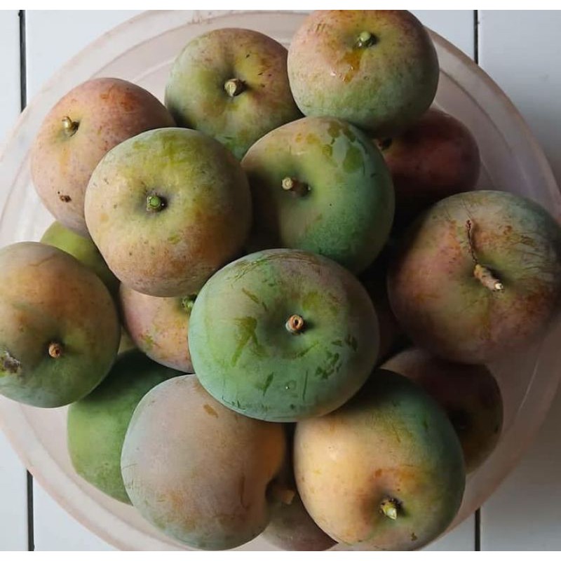 

BUAH MANGGA APEL MENGKAL SUPER FRESH 1 KG