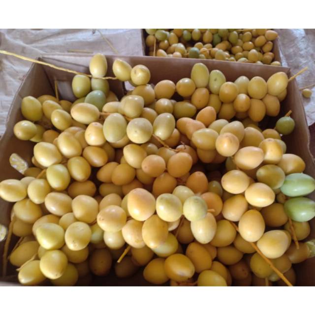

KURMA MUDAH AMPUH PROMIL 100%