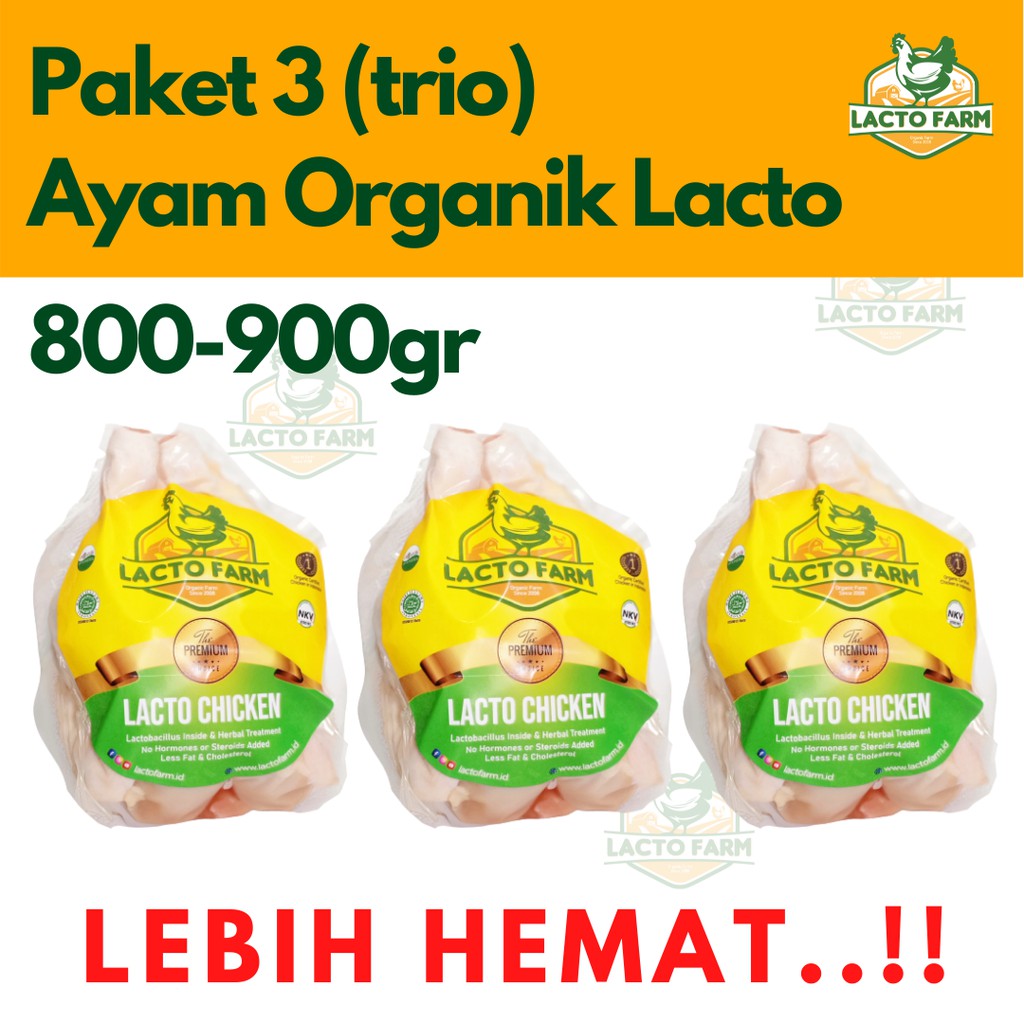 

Paket HEMAT 3 Ayam Organik Lacto Farm (800-900gr) Ayam Probiotik, Lebih Hemat, Halal