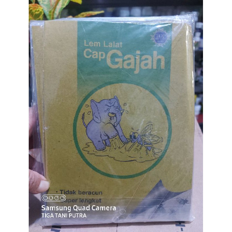 

lem lalat kertas hrga per bungkus