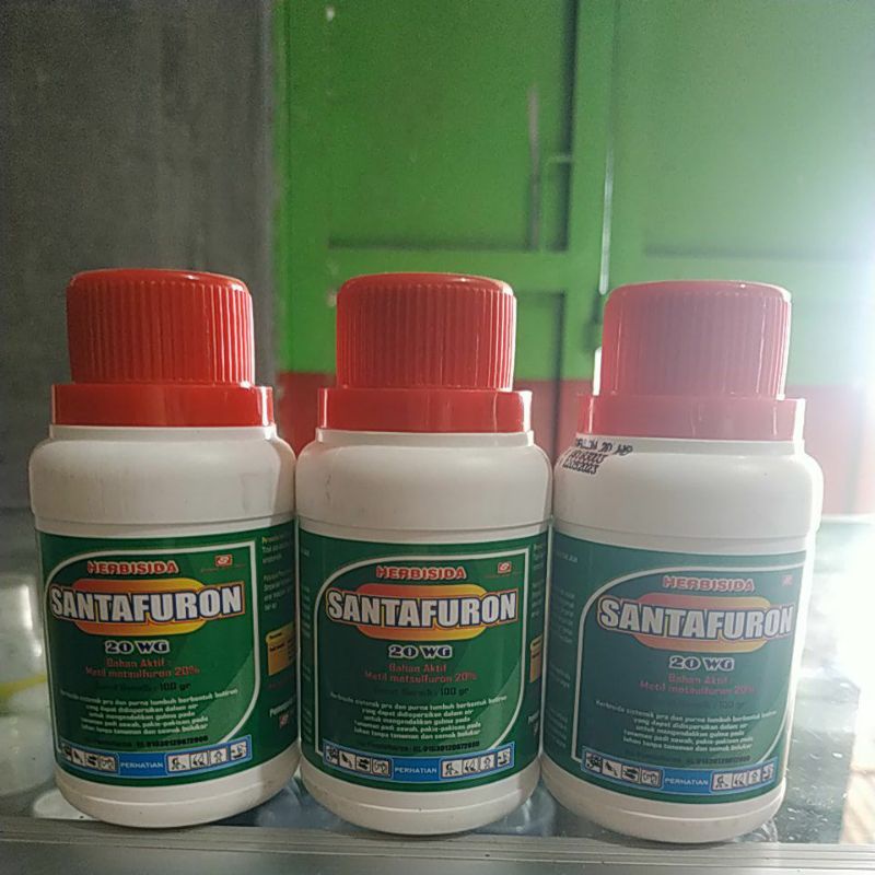 Herbisida Metil Metsulfuron SANTAFURON 20WG