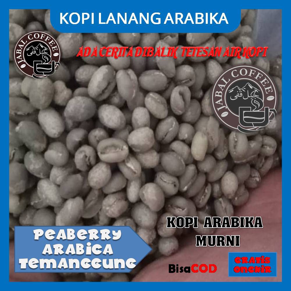 KOPI LANANG ARABIKA TEMANGGUNG (PEABERRY ARABICA TEMANGGUNG) KOPI TEMANGGUNG