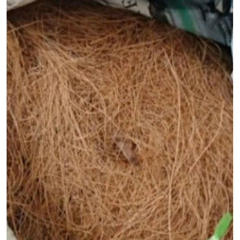 

Cocopiber/serabut kelapa