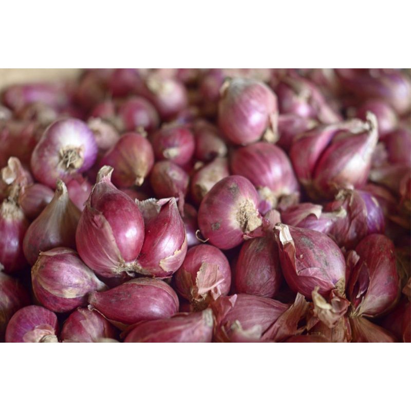 

Bawang merah/200gr