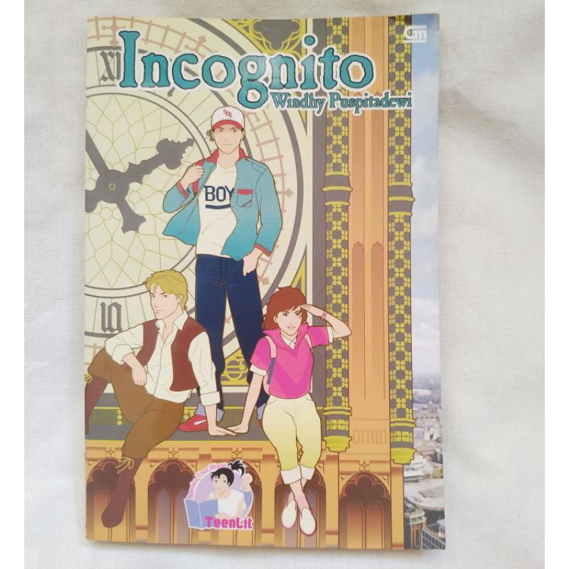 Buku Bekas Novel Bekas Incognito Teenlit